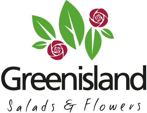 Greenisland Salads & Flowers